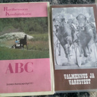 Ravivalmennus ym VHS videoita - pikkukuva 1