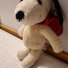 Snoopy ressu - pikkukuva 1