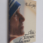 E. Le Joly : Äiti Teresan salaisuus - pikkukuva 1