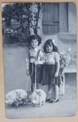Lapset taluttavat possuja, vanha mv pk, p. 1914