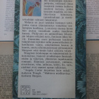 Angela Carter - Maaginen lelukauppa (sid.) - pikkukuva 2