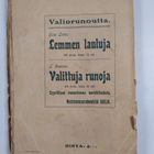 Knut Hamsun : Haaveilija - pikkukuva 2