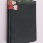 Upton Sinclair : Maailmankaupunki - pikkukuva 1