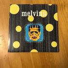 Melvins Dr. Geek 7” - pikkukuva 1