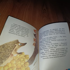 Kurren kadonnut aarre - pikkukuva 5
