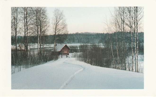 KORTTI, Virrat, Talvimaisema  Marttisenalaselta