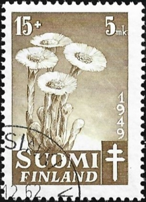 1949 TUB merkki Leskenlehti 15 + 5 mk leimattu LaPe 367