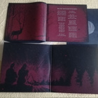 HARAKIRI FOR THE SKY - Maere LP - pikkukuva 2