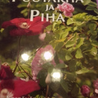 PUUTARHA JA PIHA - pikkukuva 5