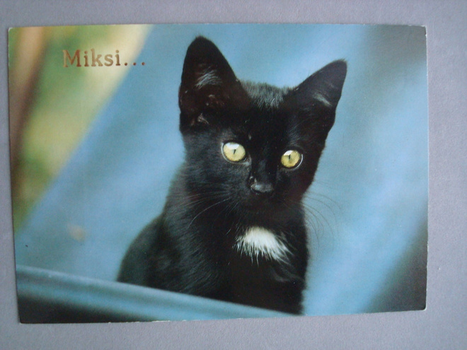 Kissa ihmeissään...miksi. Ei kulk.