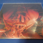 ALICE IN CHAINS - JAR OF FLIES UUSI 12'' EP - pikkukuva 2