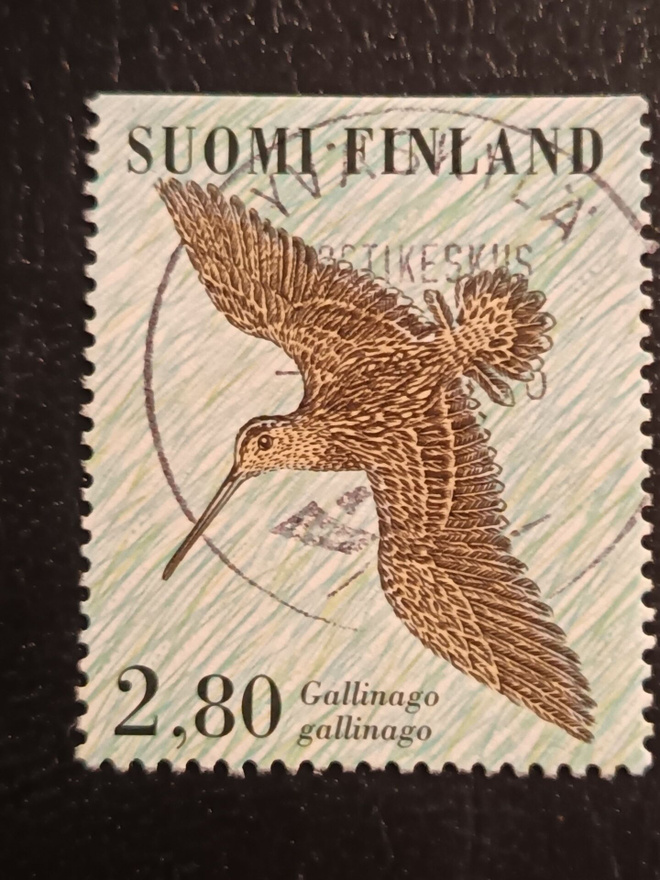 -96 Kahlaajalintuja