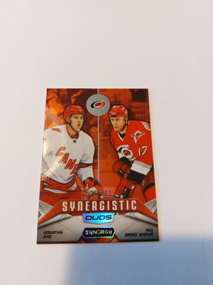 2024-25 Synergy #SD2 Sebastian Aho/Rod Brind'Amour/499