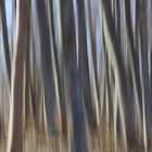 Samyang 135mm Canon / MFT - pikkukuva 4