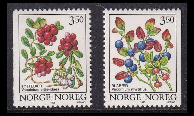 Norja 1174-5 ** Marjoja y-paperi (1995)
