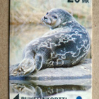 Norppa / Seal of Saimaa puhelinkortti Savonlinnan Puhelinyhd - pikkukuva 1
