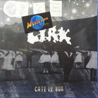 CATE LE BON - CYRK - EU 2012 APRIL 30 M-/M- LP - pikkukuva 1