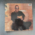 Stevie Wonder - In square circle LP (1985) - pikkukuva 2