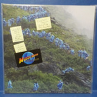 COURTNEY BARNETT - END OF THE DAY M-/M- LP - pikkukuva 1