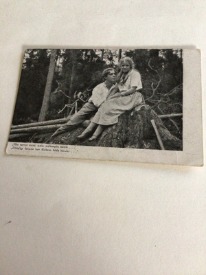 Laulu tulipunaisesta kukasta