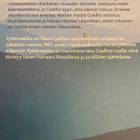PAULO COELHO: PYHIINVAELLUS - pikkukuva 2