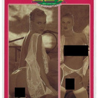 1997 Hot Shots Galaxy of Sex Superstars #41 Brittany Andrews - pikkukuva 1