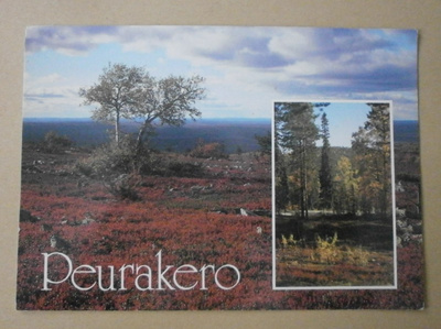 Pelkosenniemi, Peurakero ja Kairosmaja, väripk, ei p.