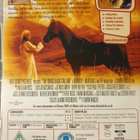 YOUNG BLACK STALLION DVD - pikkukuva 2