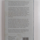 Ann-Mari Lindberg : Romahdus - pikkukuva 2