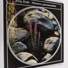 Jörg Zink : Pikaista paranemista - pikkukuva 1