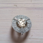 pin - pikkukuva 3
