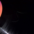 WAYNE NEWTON DADDY DON´T YOU WALK SO FAST  LP - pikkukuva 5