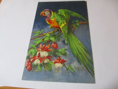 Papukaija - 1934