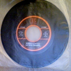 THE LOVIN' SPOONFUL:SUMMER IN THE CITY / DAYDREAM:VINYYLI 7" - pikkukuva 1