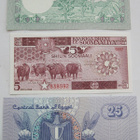 3 Seteliä Somalia Yemen Egypti 1960-1980-luku Pakkasileät - pikkukuva 2