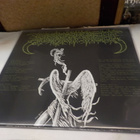 DEATH YELL - MORBID RITES M-/M US 2007 180G 2LP - pikkukuva 2
