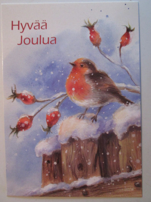 KULKEMATON LINTU AIDALLA RUUSUN MARJOJA
