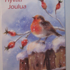 KULKEMATON LINTU AIDALLA RUUSUN MARJOJA - pikkukuva 1