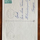 Pieni tipu ja tulppaani, kulkenut PT 972/6 - pikkukuva 2