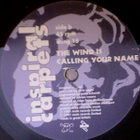 INSPIRAL CARPETS :: PLEASE BE CRUEL :: VINYYLI 7" 1991 - pikkukuva 4