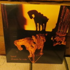 hand lp: dream to ride 2016 - pikkukuva 1