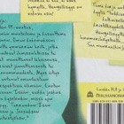 Seija Pitkänen: Lunttilappuja parisuhteeseen - pikkukuva 4