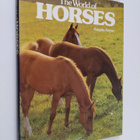 Angela Sayer : The world of horses - pikkukuva 1