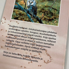 Kuukkelin kaltaiset - lintuharrastusopas - pikkukuva 2