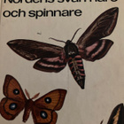 BERTIL GULLANDER: NORDENS SVÄRMARE OCH SPINNARE - pikkukuva 1