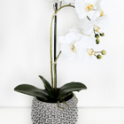 Harmaa ruukku 16,5cm - pikkukuva 3