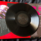 Arcadia (Duran Duran) : LP So Red The Rose (1985) - pikkukuva 3