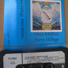 Steve Hillage: Fish Rising c-kasetti - pikkukuva 1