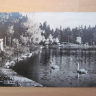 VANHA Postikortti Aulanko Hämeenlinna 1941 - pikkukuva 1