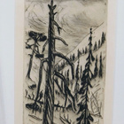 Tapio Haili 1927-1986 - pikkukuva 2